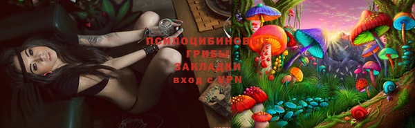 ECSTASY Бородино