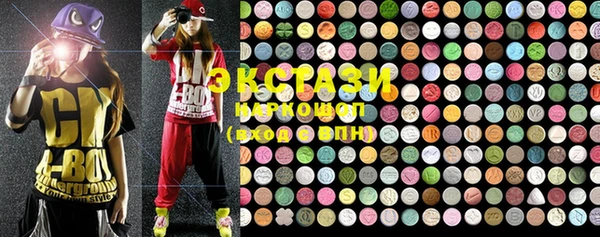 ECSTASY Бородино