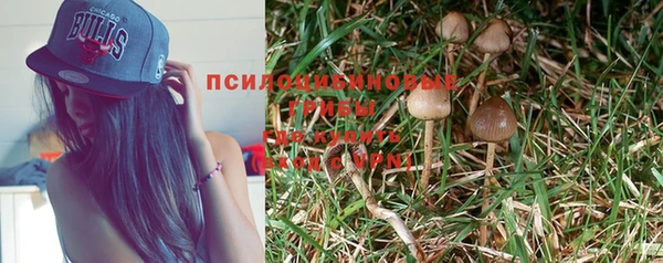 Альфа ПВП Бронницы