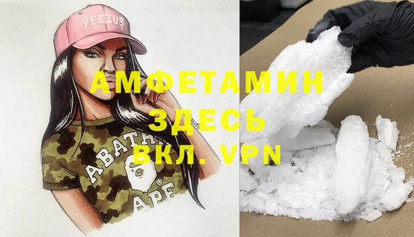 ECSTASY Бородино