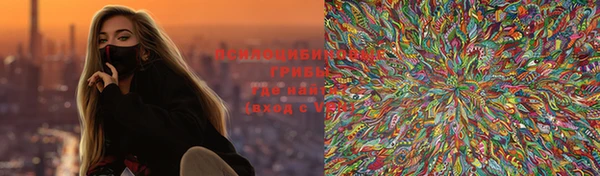 ECSTASY Бородино
