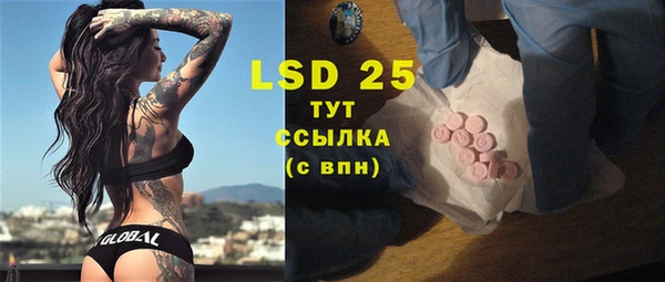 ECSTASY Бородино